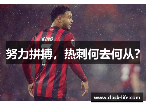 努力拼搏，热刺何去何从？